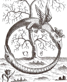 18931_VADB-7.jpg