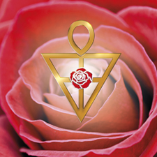 20513_Rose-225.jpg