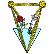 20681_gzt5hzhztr.jpg